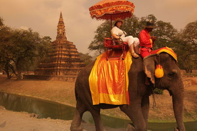 Tourist riding on elephant by old temple in ayutthaya kingdom