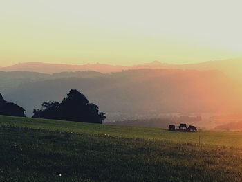 Scenic view of field against sky during sunset