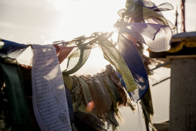 Low angle view of hand holding paper hanging against sky