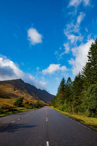 Road amidst trees against sky