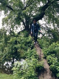 Full length of woman standing on tree trunk in forest