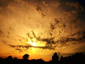 Silhouette of trees against dramatic sky