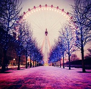 View of illuminated ferris wheel