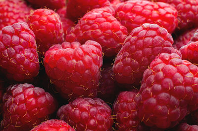 Berries, bunch of raspberries. bunch of fresh, ripe red raspberries. raspberries close up top view