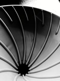 Close up of spiral