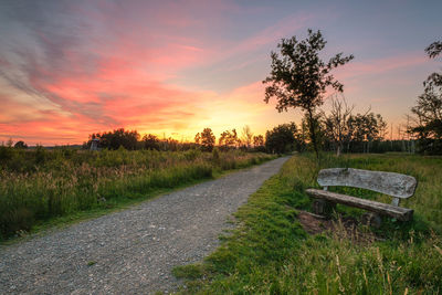 Road amidst trees on field against sky at sunset