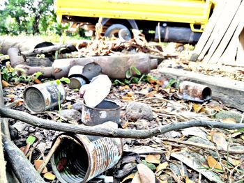 Close-up of abandoned railroad track