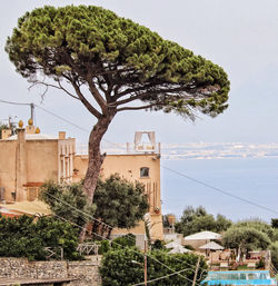 Trees, canopy bed and buildings by sea/amalfi coast against sky