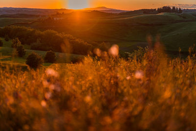 Scenic view of field against sky during sunset