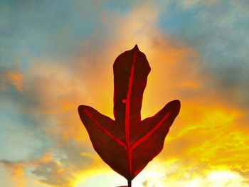 Close-up of red leaf against sky during sunset