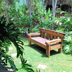 Empty bench in backyard