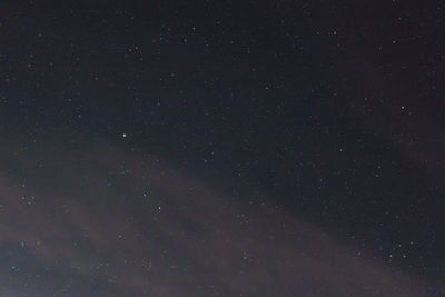 Scenic view of star field against sky at night