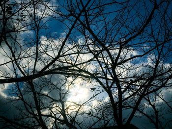 Low angle view of silhouette bare tree against sky