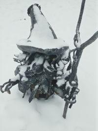 Close-up of over white background