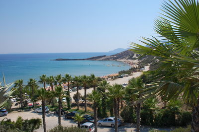 Palm trees on beach against clear sky