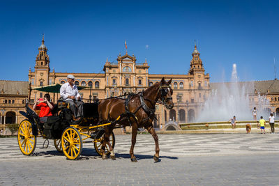 View of horse in town square