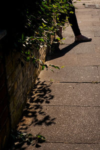 High angle view of footpath by wall