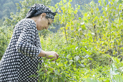 Side view of man standing by plants