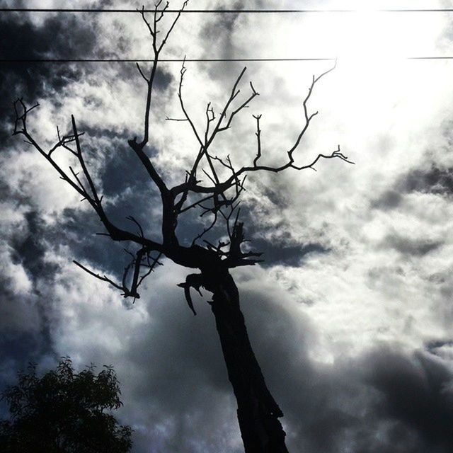 sky, low angle view, cloud - sky, bare tree, cloudy, tree, branch, silhouette, cloud, tranquility, nature, tree trunk, overcast, beauty in nature, weather, scenics, outdoors, tranquil scene, day, no people