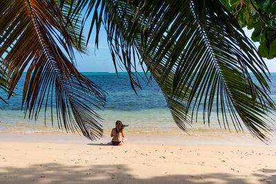 Rear view of young woman on summer vacation sitting on tropical sandy beach with palm trees.