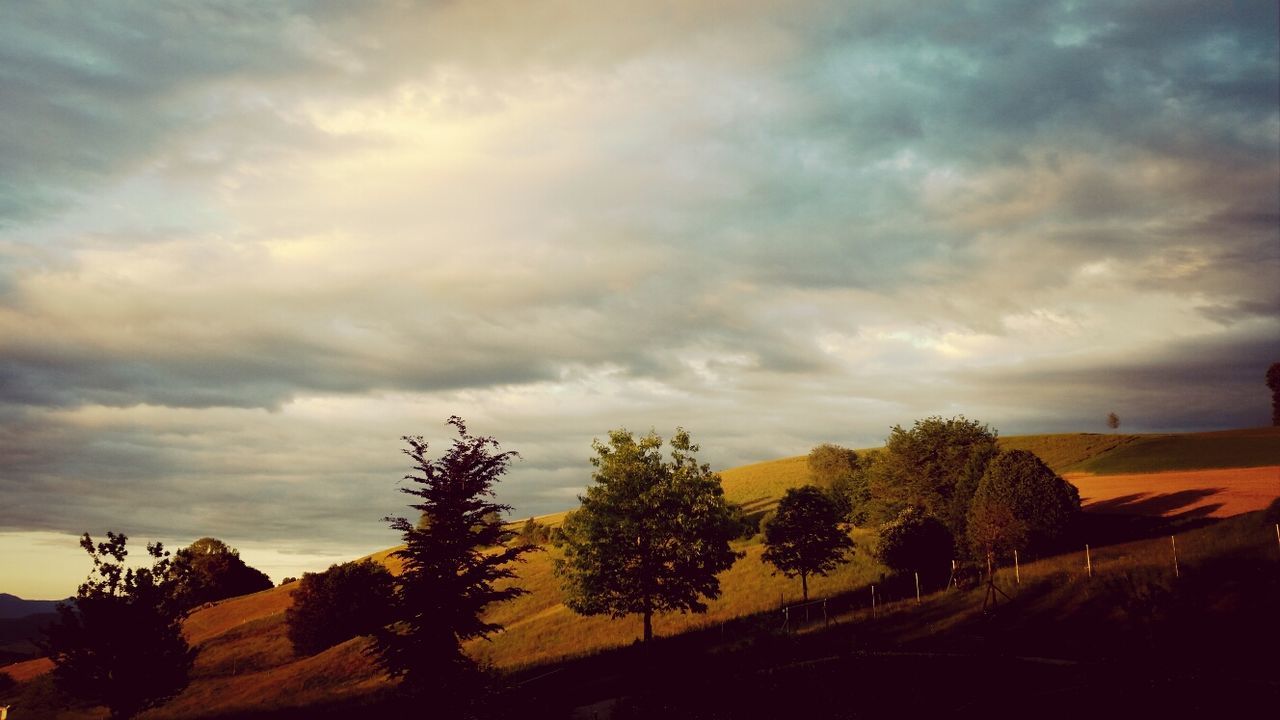 sky, cloud - sky, cloudy, tree, tranquil scene, tranquility, landscape, scenics, sunset, beauty in nature, nature, road, cloud, weather, overcast, dramatic sky, field, silhouette, storm cloud, transportation