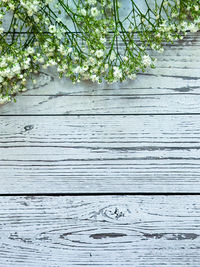 wood