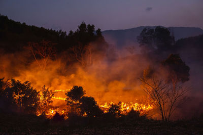 Forest fire at nighttime.