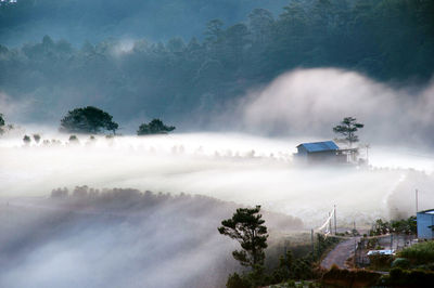 Panoramic shot of trees on land against sky