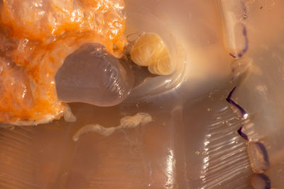 Full frame shot of ice cream