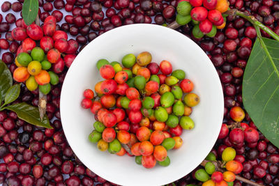 High angle view of fruits in bowl