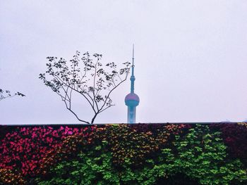 Low angle view of communications tower