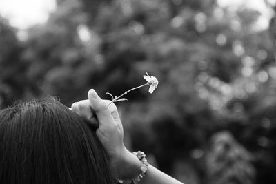 Close-up of hand holding leaf outdoors