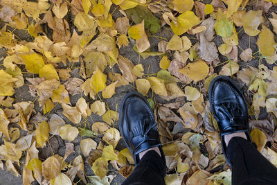 Low section of man standing on ground