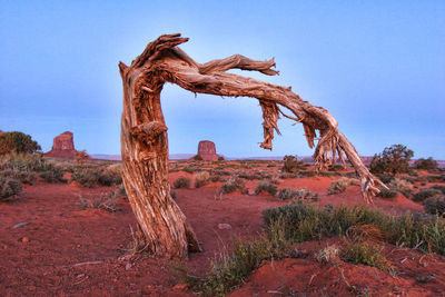 Rock formations on landscape against clear sky