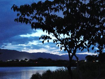 Silhouette of tree by lake against sky