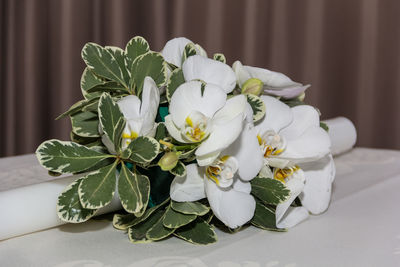 Close-up of white flowers on table