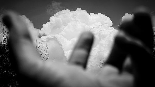 Close-up of leaf against sky