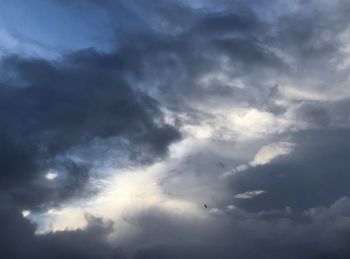 Low angle view of bird flying in sky