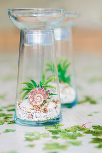 Close-up of water in jar on table