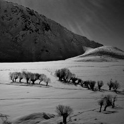 Landscape with mountain range in background