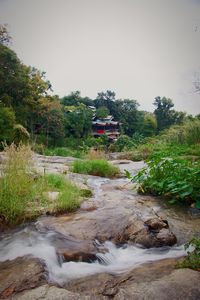 Scenic view of river in forest against clear sky