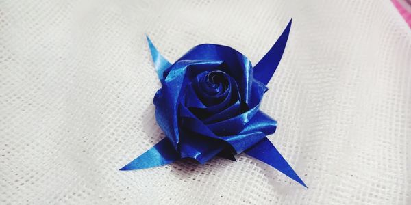 Close-up of blue rose on paper