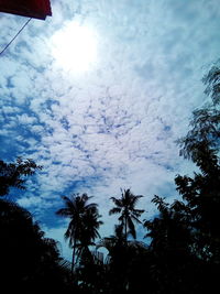 Low angle view of palm trees against cloudy sky
