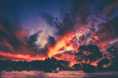 Silhouette trees against dramatic sky during sunset