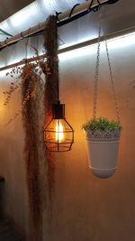 Illuminated light bulb hanging on wall
