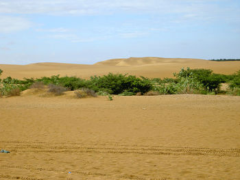 Scenic view of medanos de coro national park against sky