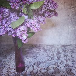Close-up of pink flowers