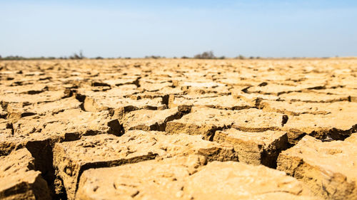 Surface level of dirt road on field against sky