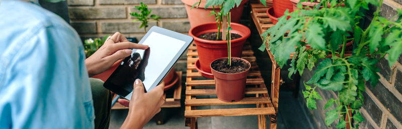 Midsection of man holding potted plant