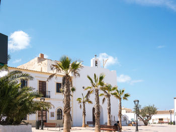 Palm trees by buildings against blue sky